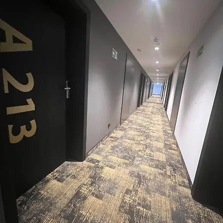 A213 Solny * 科沃布热格